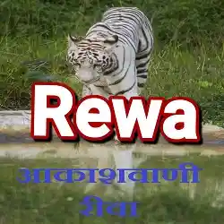 Akashvani Rewa Live